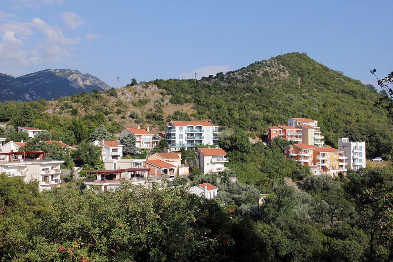 The View Apartment 3 Petrovac 外观 照片